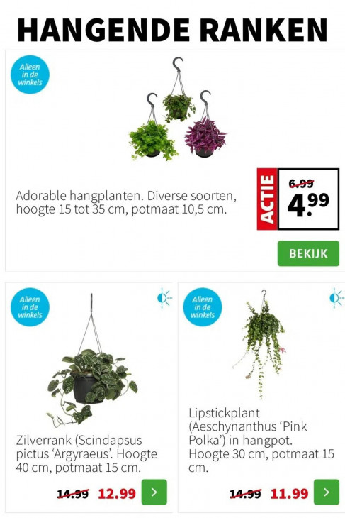 Intratuin Folder 20.10.2025