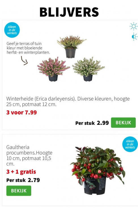 Intratuin Folder 20.10.2025