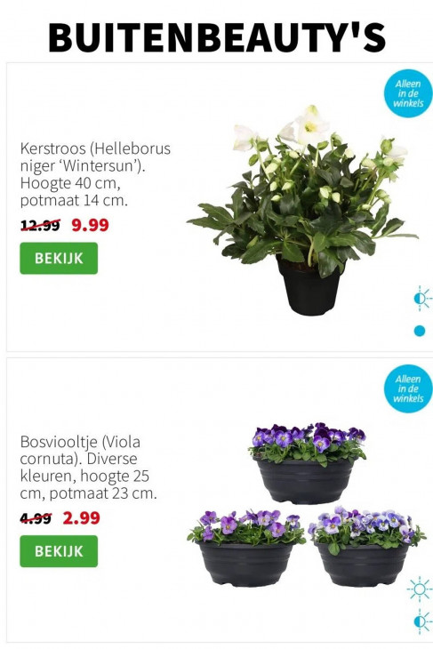 Intratuin Folder 20.10.2025