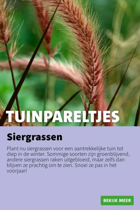 Intratuin Folder 20.10.2025