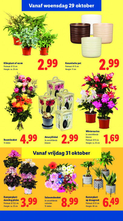 Lidl Folder 27.10.2025