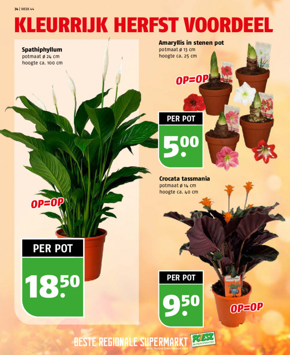 Poiesz Folder 26.10.2025