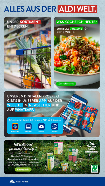 Aldi Süd Angebote ab 10.11.25 bis 15.11.25
