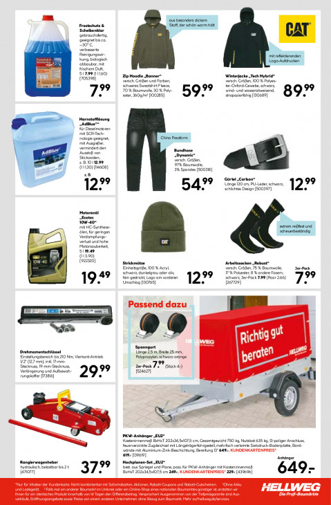 Hellweg Baumarkt - woche-44-ab-27-10-2025-bis-01-11-2025-seite-21-bvrdy