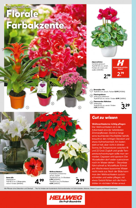 Hellweg Baumarkt - woche-44-ab-27-10-2025-bis-01-11-2025-seite-24-bvrdy