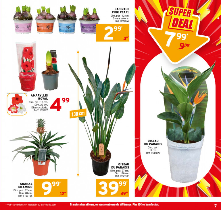 Trafic Dépliant 29.10.2025