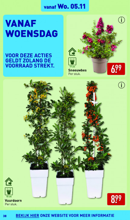 Aldi Folder 03.11.2025