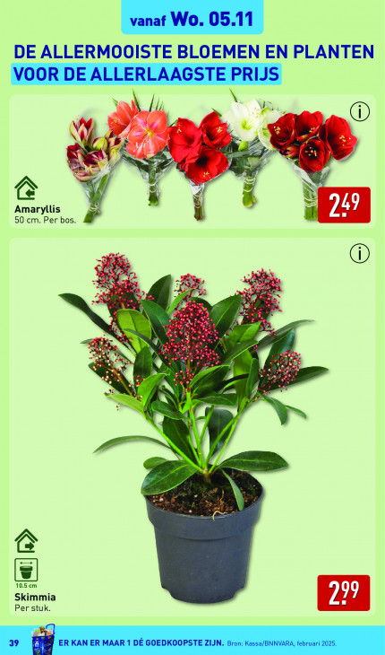 Aldi Folder 03.11.2025