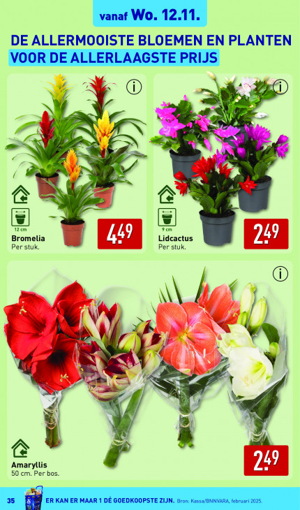 Aldi Folder 10.11.2025