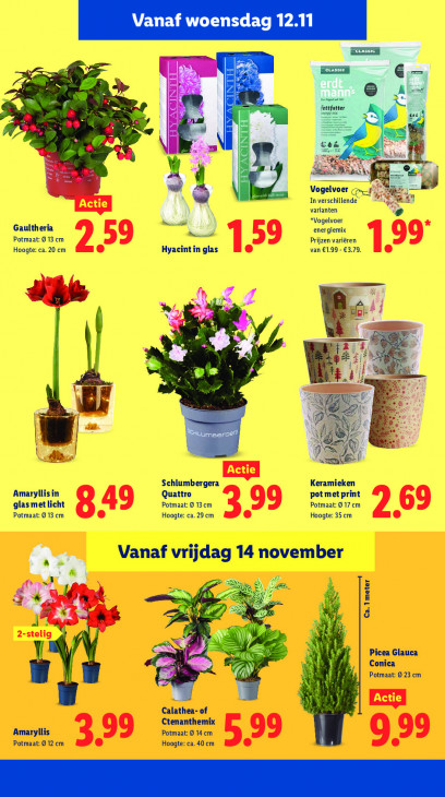 Lidl Folder 10.11.2025