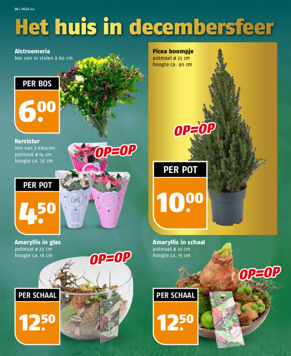 Poiesz Folder 09.11.2025