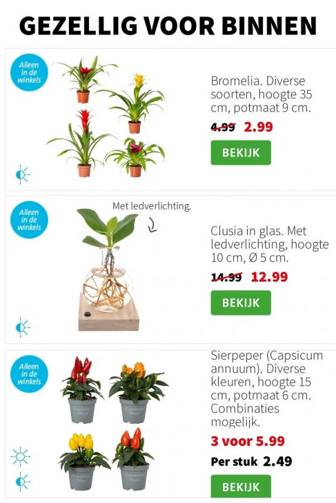 Intratuin Folder 10.11.2025