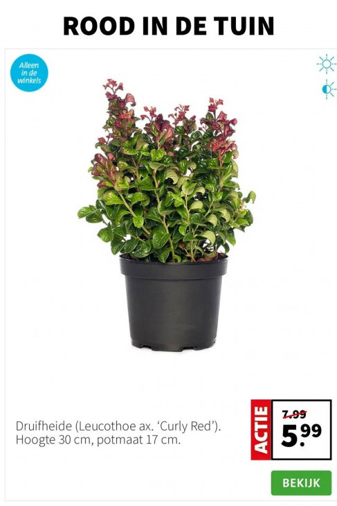 Intratuin Folder 10.11.2025