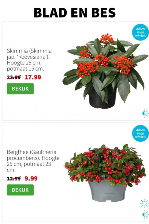 Intratuin Folder 10.11.2025