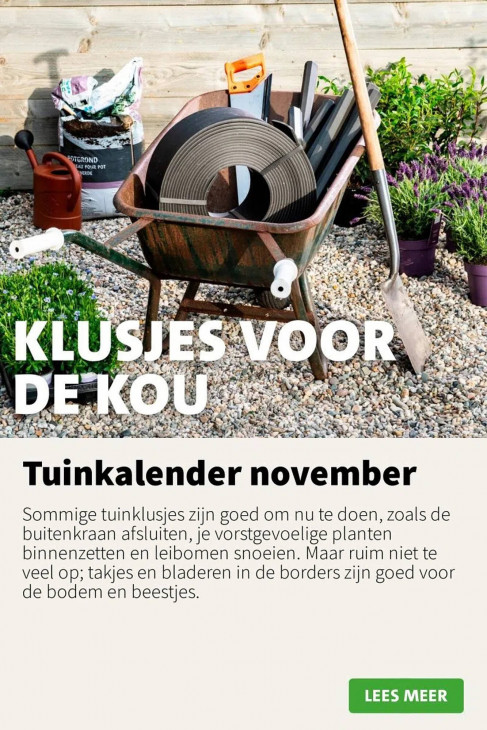 Intratuin Folder 10.11.2025