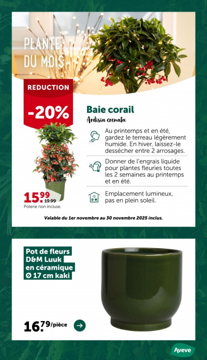 AVEVE Dépliant 12.11.2025