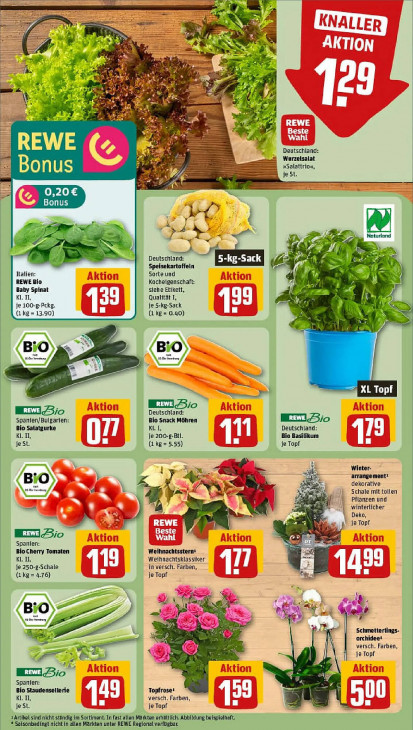 Rewe Angebote ab 10.11.25 bis 15.11.25