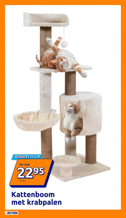 Action Folder 12.11.2025