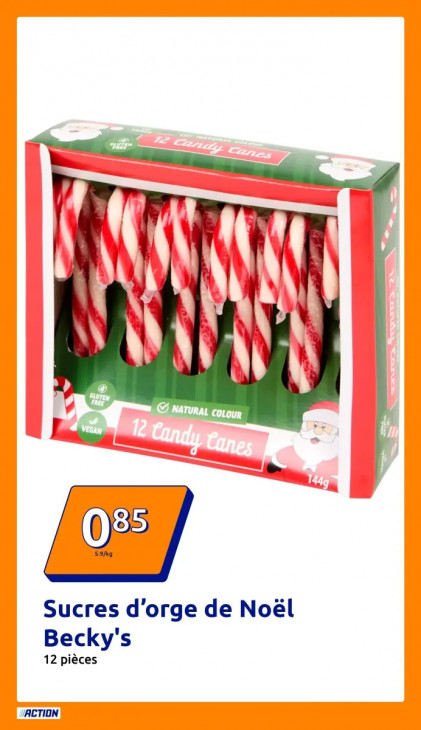 Action Dépliant 12.11.2025