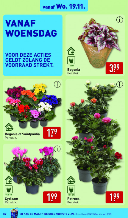 Aldi Folder 17.11.2025