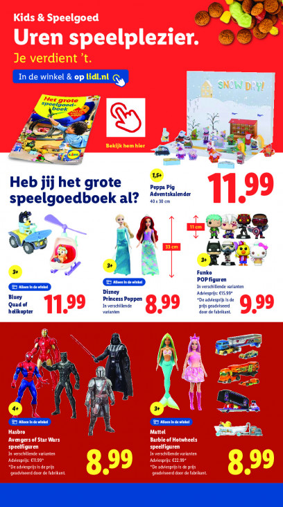 Lidl Folder 17.11.2025