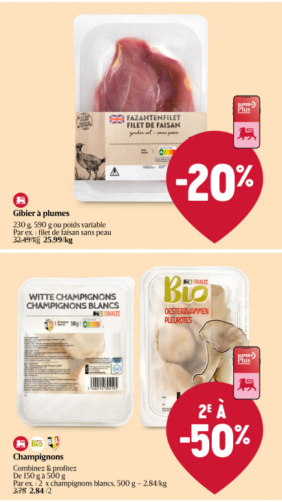 Delhaize Dépliant 13.11.2025