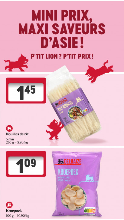 Delhaize Dépliant 13.11.2025