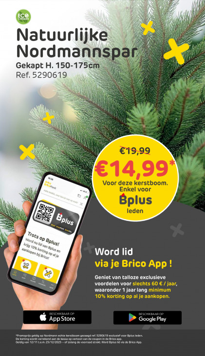 Brico Plan-it Folder 12.11.2025