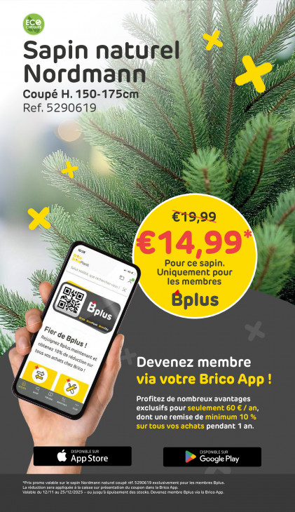Brico Dépliant 12.11.2025