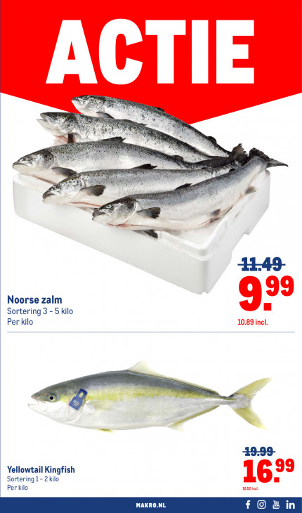 Makro Folder 19.11.2025