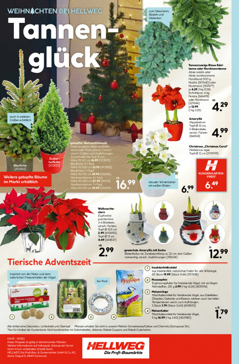 Hellweg Baumarkt Angebote ab 17.11.25 bis 22.11.25