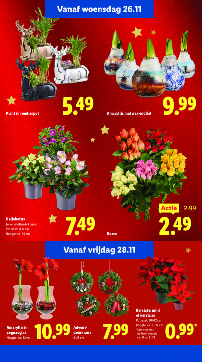 Lidl Folder 24.11.2025