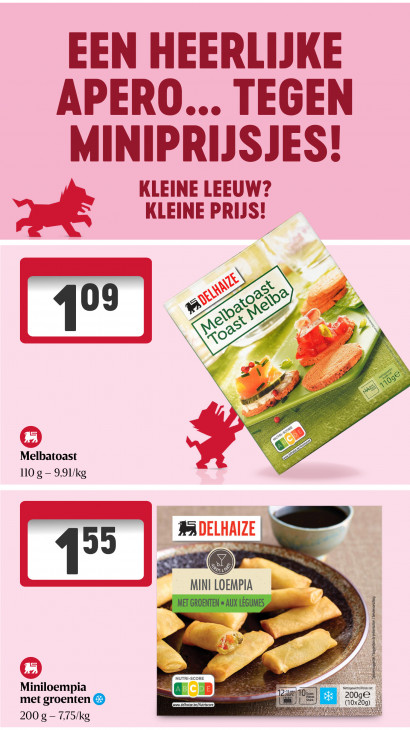 Delhaize Folder 20.11.2025