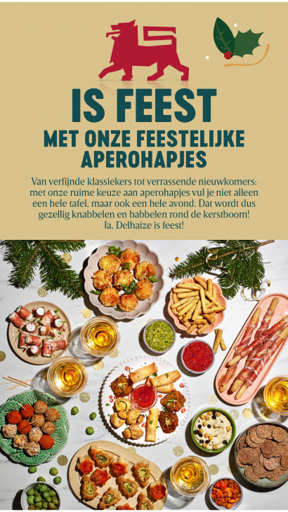 Delhaize Folder 20.11.2025