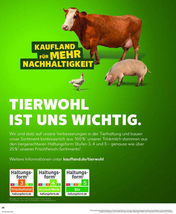 Kaufland - woche-48-ab-27-11-2025-bis-03-12-2025-seite-36-ozbno