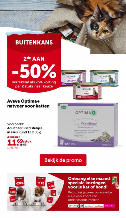 AVEVE Folder 26.11.2025