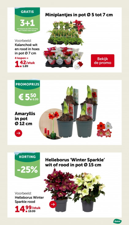 AVEVE Folder 26.11.2025