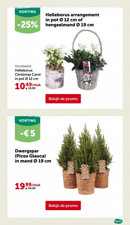 AVEVE Folder 26.11.2025