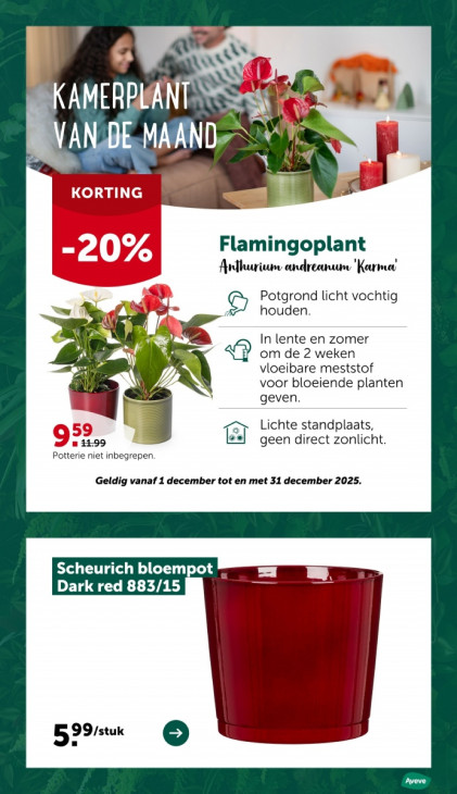 AVEVE Folder 26.11.2025