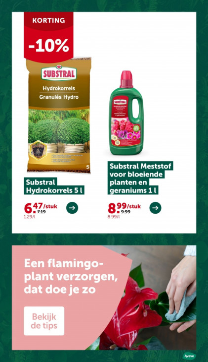 AVEVE Folder 26.11.2025