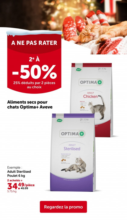 AVEVE Dépliant 24.11.2025