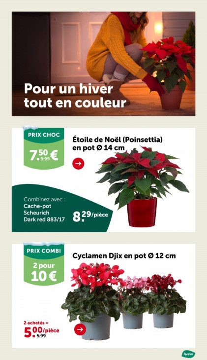 AVEVE Dépliant 24.11.2025