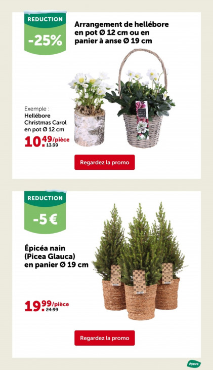 AVEVE Dépliant 24.11.2025