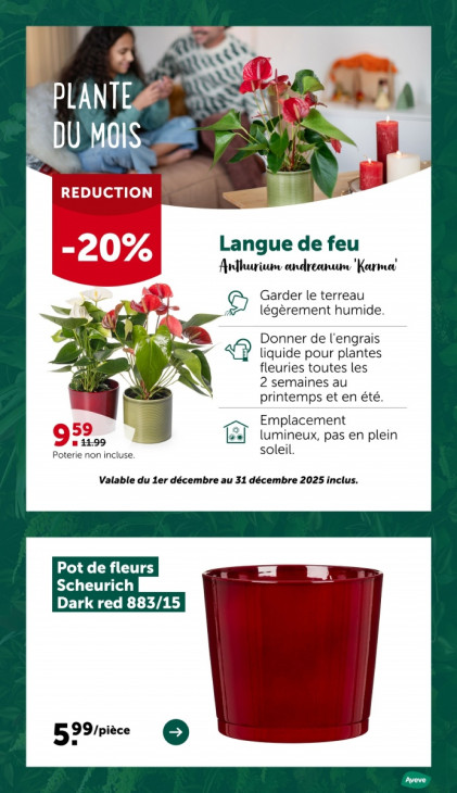 AVEVE Dépliant 24.11.2025