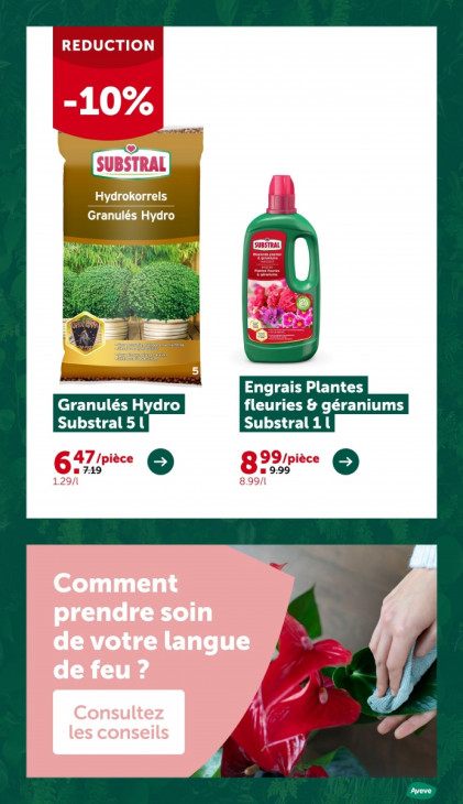 AVEVE Dépliant 24.11.2025