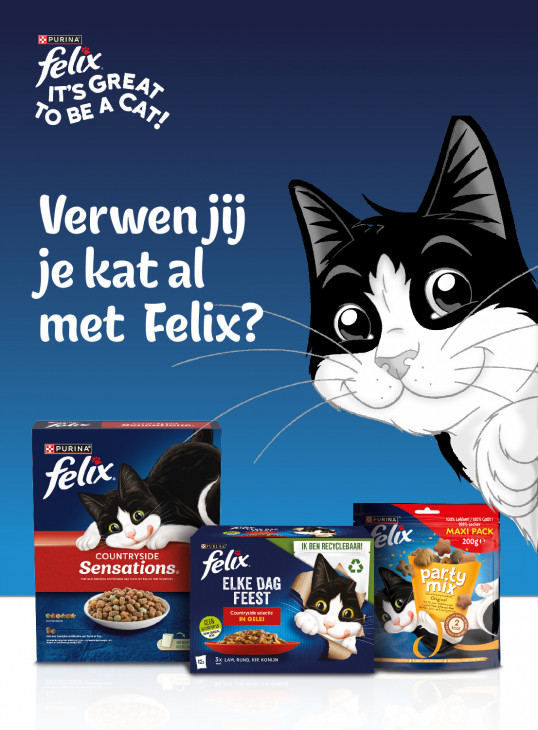 Jumbo Folder 03.12.2025