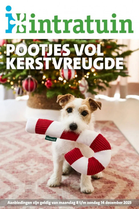 Intratuin Folder 08.12.2025