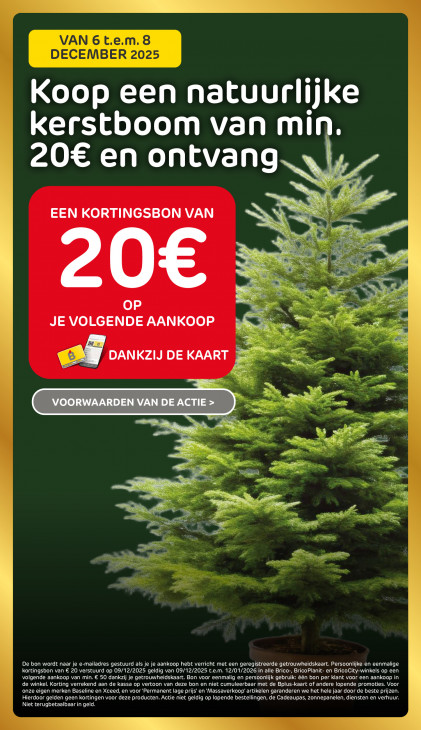 Brico Plan-it Folder 03.12.2025