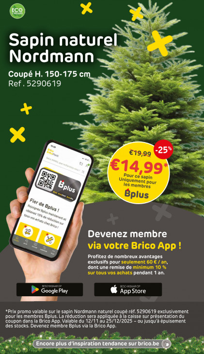 Brico Dépliant 03.12.2025