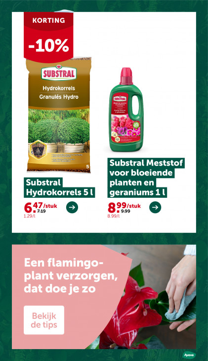 AVEVE Folder 10.12.2025